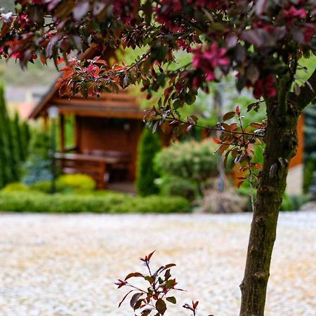 Domki U Basi Villa Kudowa-Zdrój Exterior foto