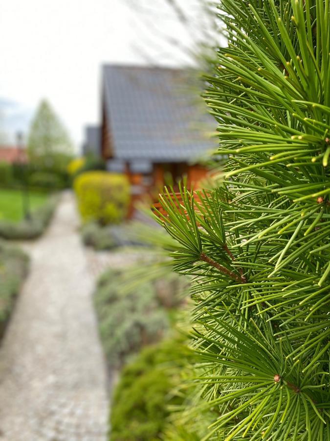 Domki U Basi Villa Kudowa-Zdrój Exterior foto