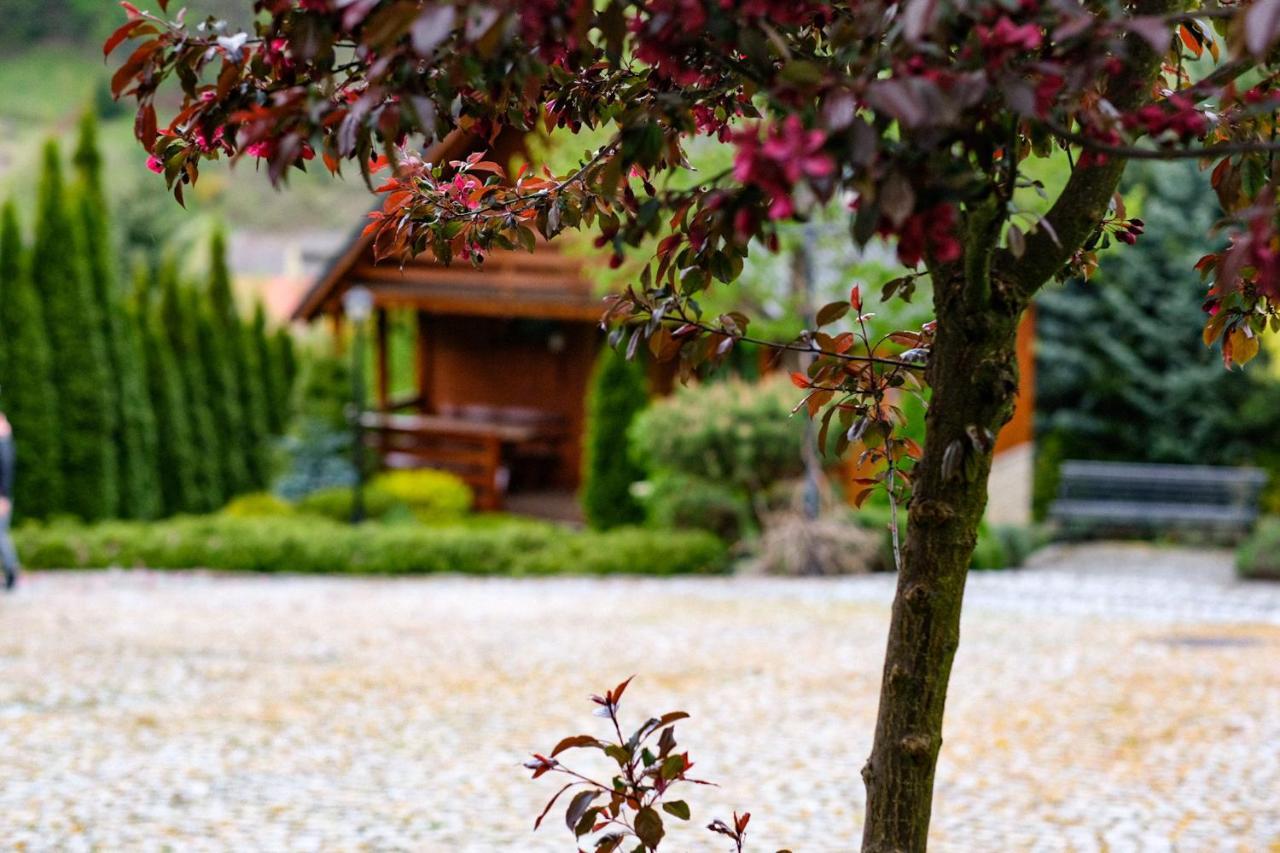 Domki U Basi Villa Kudowa-Zdrój Exterior foto